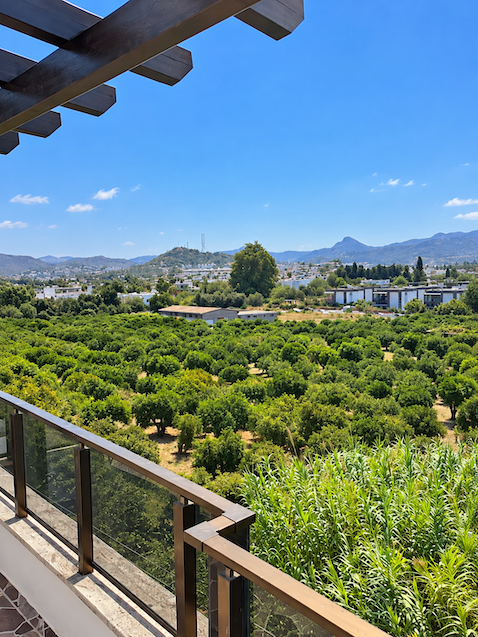 Turgutreis'de Sahile 100m Satılık Villa - Görsel 8